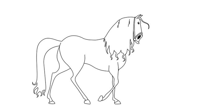 2d Hand Drawn Animation, Walking Horse Cartoon On Isolated White Background
