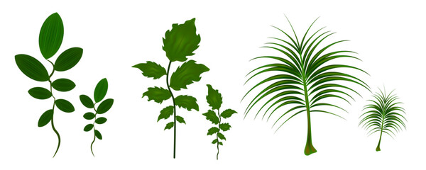 green leaf pack  vector illuatration