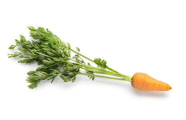 Fresh carrot on white background