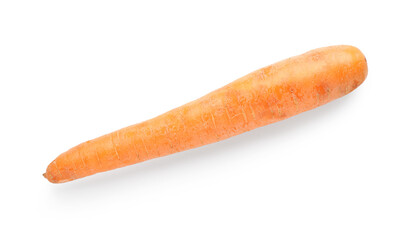 Fresh carrot on white background