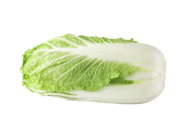 One whole chinese cabbage on a white background