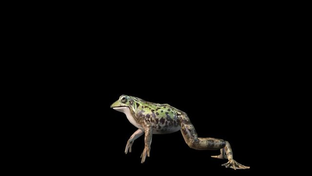 A frog jumping on black background, 3D animation, animated animals, seamless loop animation