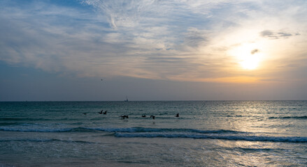 seascape nature at sunrise sky. photo of seascape nature at sunrise. seascape nature at sunrise.
