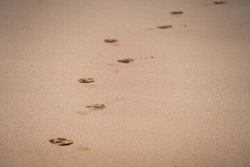 Fototapeta na wymiar Footsteps at Plemont bay, Channel Islands
