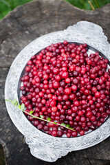 Sweet fragrant cranberries on a silver plate