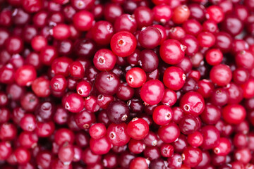 Ripe juicy cranberries, background