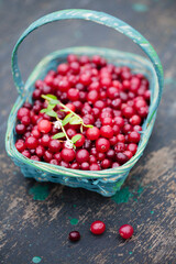 wild berry cranberries in a blue wicker basket on a rustic background