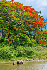 Fototapete bei efototapeten.de bestellen   