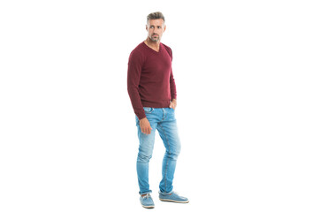 Fototapeta premium stylish trendy caucasian man. An attractive man with trendy hair and clothes isolated on white. A handsome man posing in trendy studio. handsome mature man with trendy hairstyle wears casual sweater