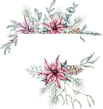 Christmas frame of red poinsettia flower, pine cone, Mistletoe or Viscum, emerald spruce branch, Ilex, pine twig, eucalyptus, evergreen tree, fir, cedar. Floral wreath. Hand painted watercolor flower
