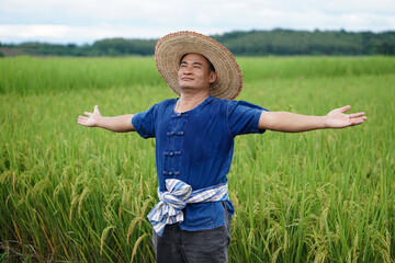 Asian man farmer is at paddy field, wear hat, blue shirt, wide arms stretching,feel free, happy, confident and proud in crops. Concept , Agricultural occupation.Thai farmer grow organic  rice.       
