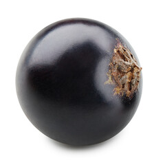 Black currant isolated
