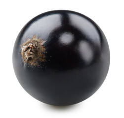 Black currant isolated