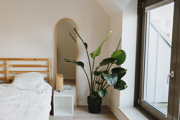 Modern minimal home interior design. Tropical palm tree, bed with white bed linen, mirror, side...