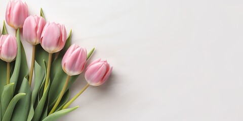 Beautiful tulip top view, illustration for product presentation template, copy space background. 