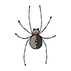 Spider icon, isolated on white. Hand drawn style.
