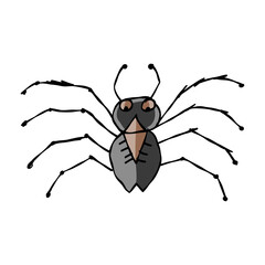 Spider icon, isolated on white. Hand drawn style.