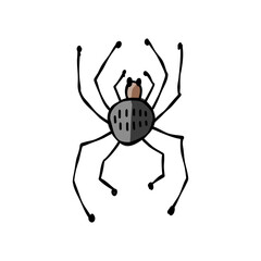 Spider icon, isolated on white. Hand drawn style.