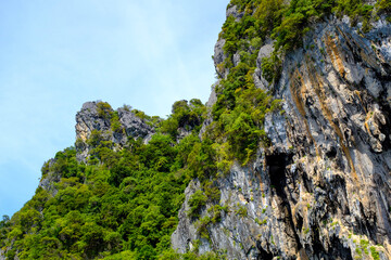 South East Asian Rocky outcrop