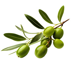 olive