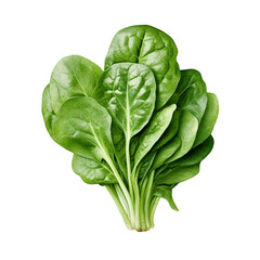 spinach