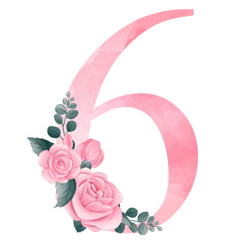 Number 6 with roses pink watercolor illustration