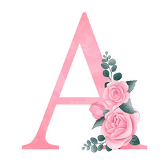 Alphabet A with pink roses watercolor illustration