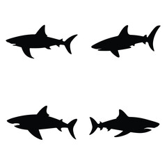 Fototapeta premium set of sharks