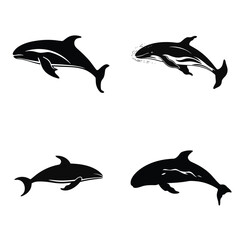 set of dolphins