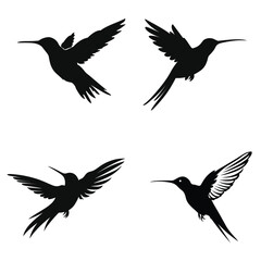 set of birds