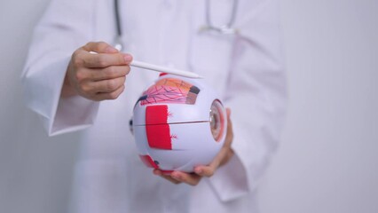 Doctor with human Eye anatomy model with magnifying glass. Eye disease, Refractive Errors, Age Related Macular Degeneration, Cataract, Diabetic Retinopathy, Glaucoma, Amblyopia, Strabismus and Health