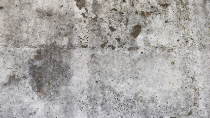 Fototapeta premium stone wall texture