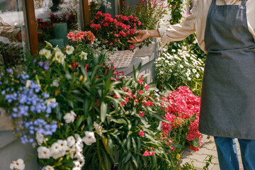 Female florist taking care of houseplant in flower shop. Plant care concept. High quality photo