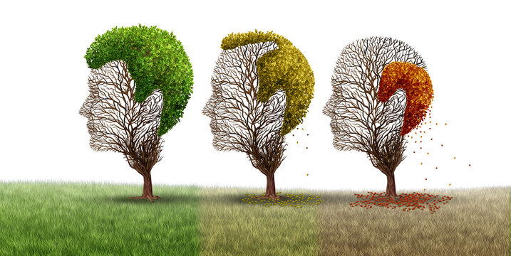 Aging Hair Loss Concept or androgenetic alopecia as a age related receding hairline and thinning on the crown of the bald head and losing hair as tree and leaves with 3D illustration elements.