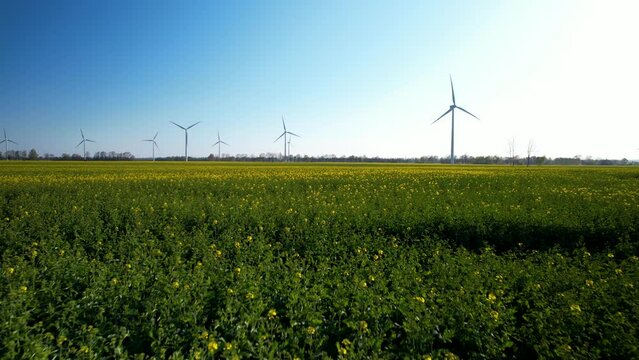 Spinning wind turbines used to produce energy installed in vast field