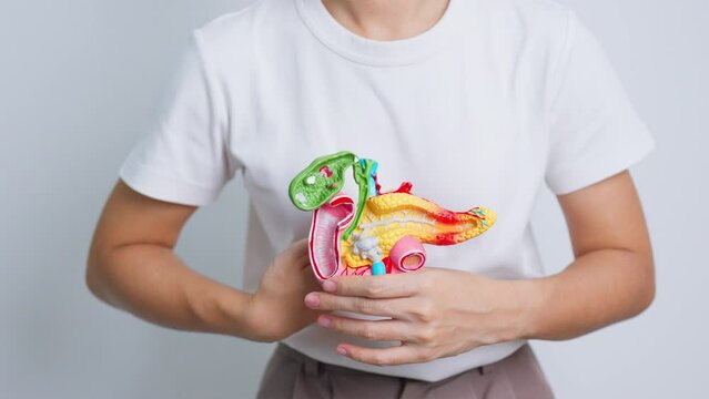 Doctor with human Pancreatitis anatomy model with Pancreas, Gallbladder, Bile Duct, Duodenum, Small intestine. Pancreatic cancer, Acute and Chronic pancreatitis,  Digestive system and Health concept