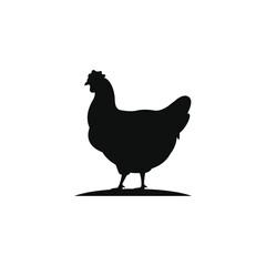 Chicken icon isolated on white background
