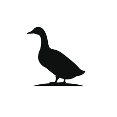 Duck icon isolated on white background