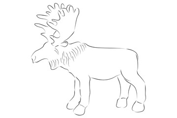 simple vector hand draw sketch moose or big deer, isolated on white