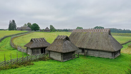 Fototapeta na wymiar a long row of thatched roofs in a grassy area