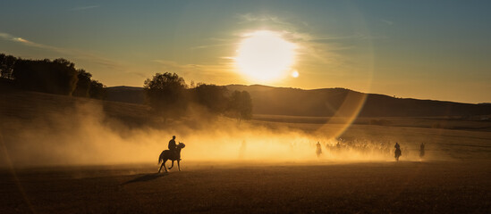 Group of people riding horses on a picturesque trail at sunset.