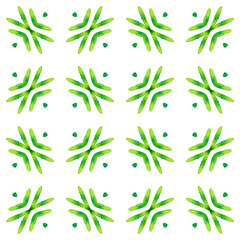 Obraz premium Watercolor summer ethnic border pattern. Green
