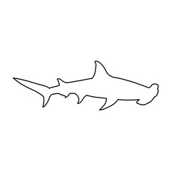 Shark icon vector. sea ​​life illustration sign. fish symbol or logo.