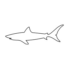 Shark icon vector. sea ​​life illustration sign. fish symbol or logo.