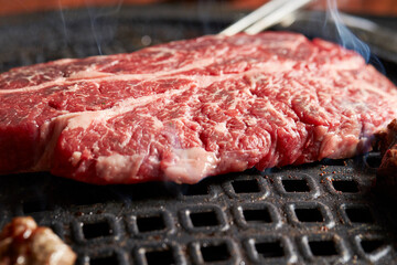 grilled meat on the grill	