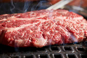 grilled meat on the grill