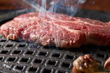 grilled meat on the grill	