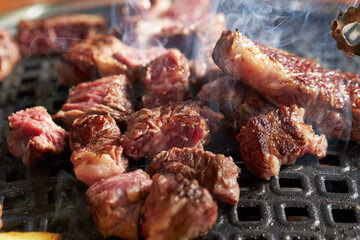 grilled meat on the grill