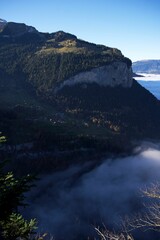 Vertical shot of mountain landscapes in Wengen, Switzerland