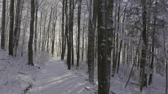 Snowy forest path with sunshine, drone shot, Wisen, Solothurn, Switzerland, Europe